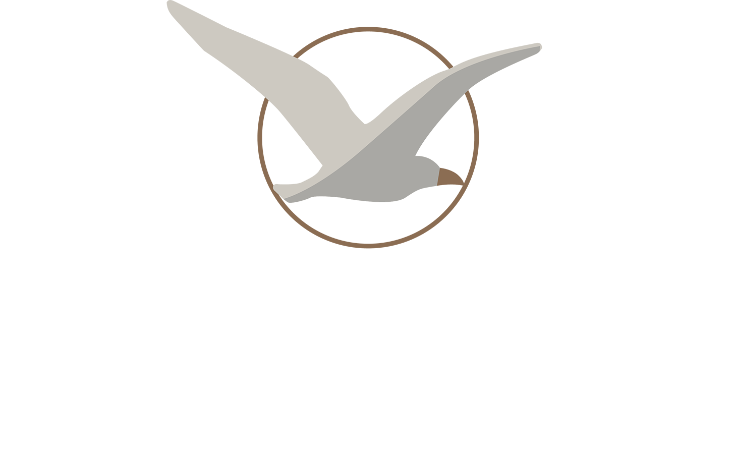 logo-branco